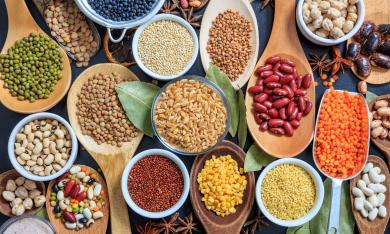 Protéines végétales - Au rendez-vous des Normands