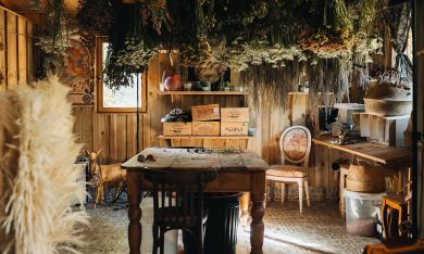 Fleurs de la Clarté (© Pierre Galliot - Région Normandie)