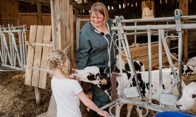 La vache de Louvicamp - Marie-Anais_Thierry - Normandie Tourisme