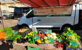 Au champ bio - Au rendez-vous des Normands