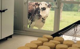 Ferme du Perriers 1 - Au rendez-vous des Normands