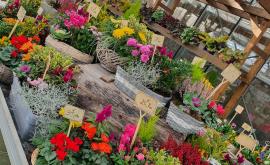 Fleuriste Flutre - Au rendez-vous des Normands