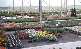 Fleurs de sel boutique - Au rendez-vous des Normands