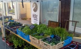 Hébé Stand - Au rendez-vous des Normands