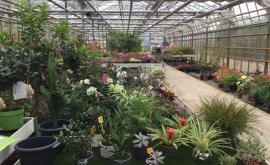 Horticulture Lyddan Boutique - Au rendez-vous des Normands