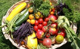 La Ferme des Tilleuls 1- Au rendez-vous des Normands