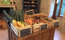 La ferme du Bajocasse legumes - Au rendez-vous des Normands