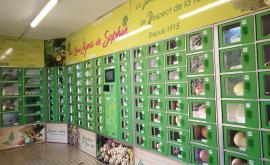 Les bons légumes de Sophie Distributeur - Au rendez-vous des Normands