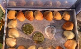 Les Coques de Cabourg médailles - Au rendez-vous des Normands