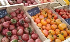 Les roches Noires stand 1 - Au rendez-vous des Normands