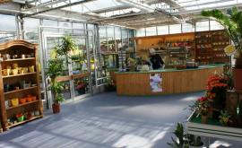 Octau Fleurs - Au rendez-vous des Normands