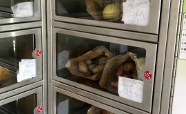 Le préau de terroir 2 - Au rendez-vous des Normands