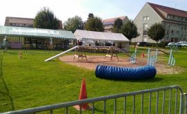 Association Animal Mon Ami extérieur1 - Au rendez-vous des Normands