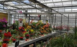 Aux Serres De St Georges intérieur - Au rendez-vous des Normands