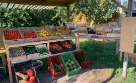 Bio Baie stand - Au rendez-vous des Normands