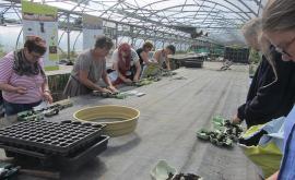 Biopousses atelier - Au rendez-vous des Normands