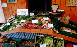 Biopousses stand - Au rendez-vous des Normands