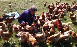 Ferme de la Bessinière extérieur - Au rendez-vous des Normands