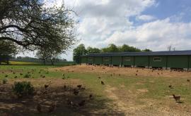 Ferme de la Bruyère extérieur1 - Au rendez-vous des Normands