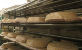 Gaec du Pis-Vert produits1 - Au rendez-vous des Normands