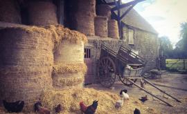 Kerflaveur extérieur - Au rendez-vous des Normands.jpg