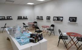 LIBRAIRIE LA CURIEUSE salle expo - Au rendez-vous des Normands