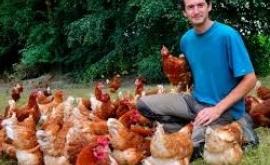 La ferme du petit bois oeufs - Au rendez-vous des Normands