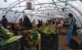 Le champs des Cigognes ferme - Au rendez-vous des Normands