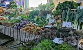 Les Jardins du Coq stand - Au rendez-vous des Normands