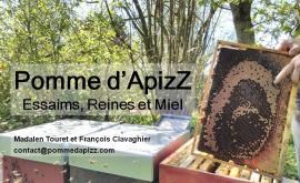 Pomme d'ApizZ présentation - Au rendez-vous des Normands