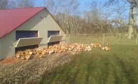 Volailles de Fontenai extérieur - Au rendez-vous des Normands