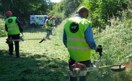 Actif Insertion espaces verts - Au rendez-vous des Normands.jpg