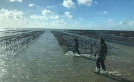 Bertot Claude et Gaelle huitres - Au rendez-vous des Normands