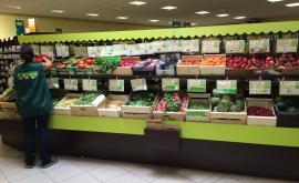 Biotope intérieur - Au rendez-vous des Normands