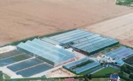 Earl Suzanne extérieur - Au rendez-vous des Normands