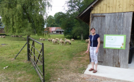 Ferme Ruette extérieur - Au rendez-vous des Normands