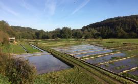 La Cressonnière Saint Firmin extérieur - Au rendez-vous des Normands