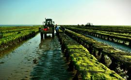 Les Huîtres de Charlotte extérieur - Au rendez-vous des Normands