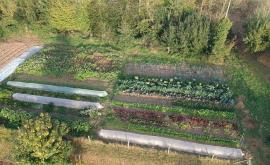 Les Jardins des Mondrots extérieur - Au rendez-vous des Normands