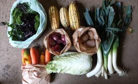 Les Jardins des Mondrots panier - Au rendez-vous des Normands