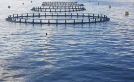 Les Jardins du Saumonier Cherbourg parc - Au rendez-vous des Normands