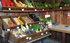 Les jardins dans la ville produits - Au rendez-vous des Normands