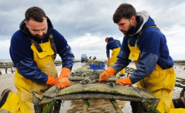 Maison VIVIER huitres - Au rendez-vous des Normands