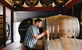 SARL Théo Capelle - Au rendez-vous des Normands