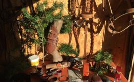 Sellerie Harnachement Emmanuelle Dondlinger produits - Au rendez-vous des Normands