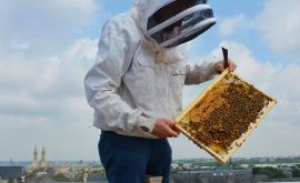 Uibie entreprise - Au rendez-vous des Normands.jpg