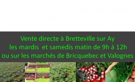 Eurl Connin Olivier présentation - Au rendez-vous des Normands