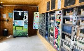 Légumes de la Côte d'Albâtre distributeur - Au rendez-vous des Normands