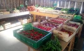 La Cabane Penchée intérieur1 - Au rendez-vous des Normands