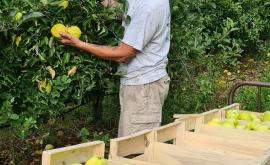 La Cueillette de Bourgthéroulde cueillette - Au rendez-vous des Normands